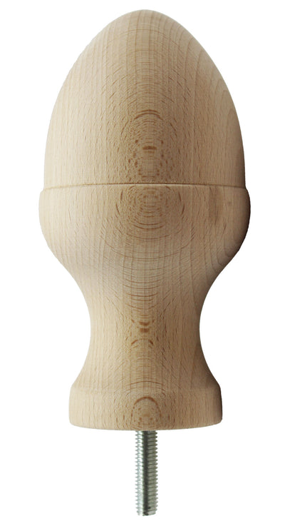 American Acorn