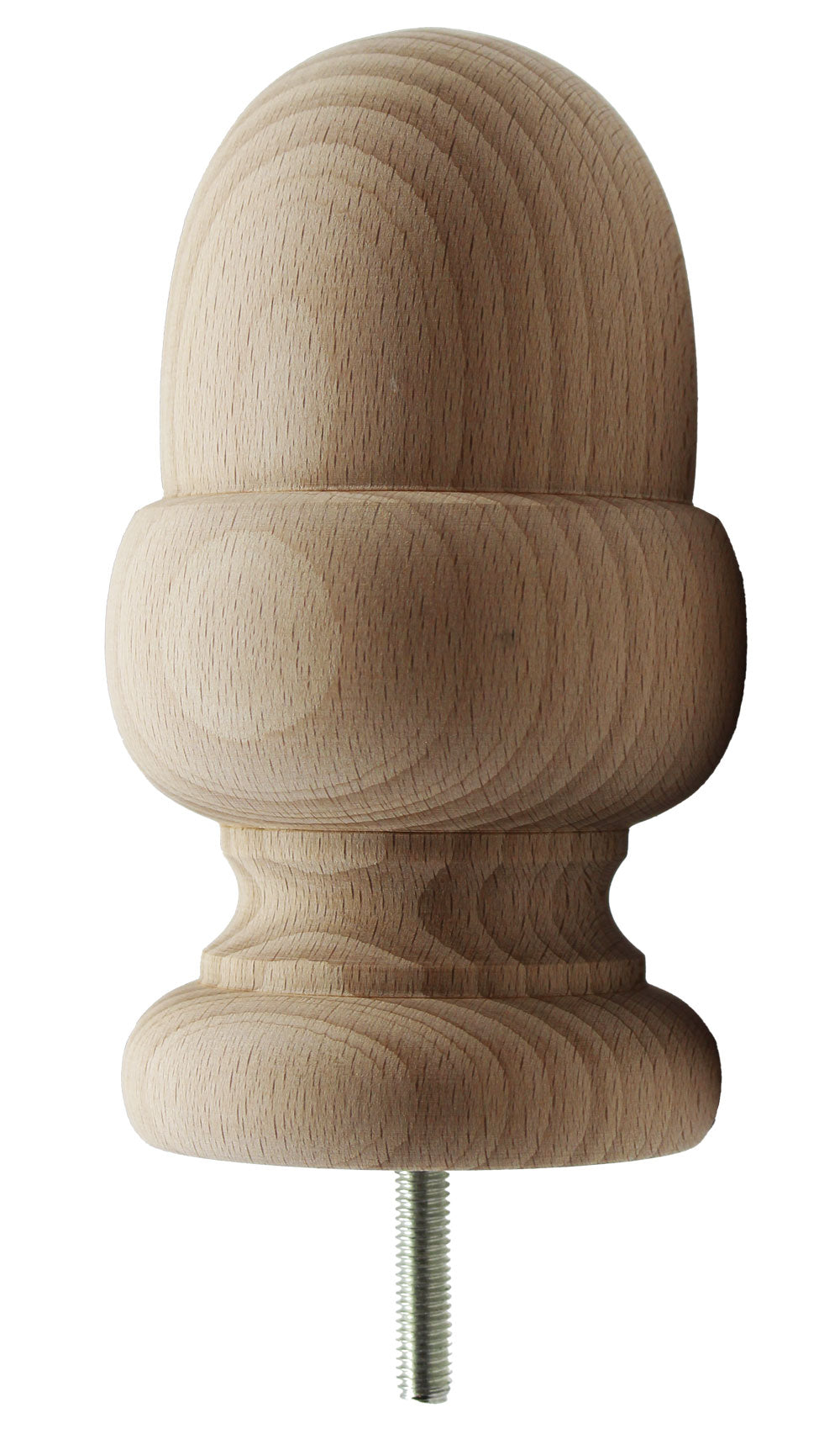 English Acorn Large